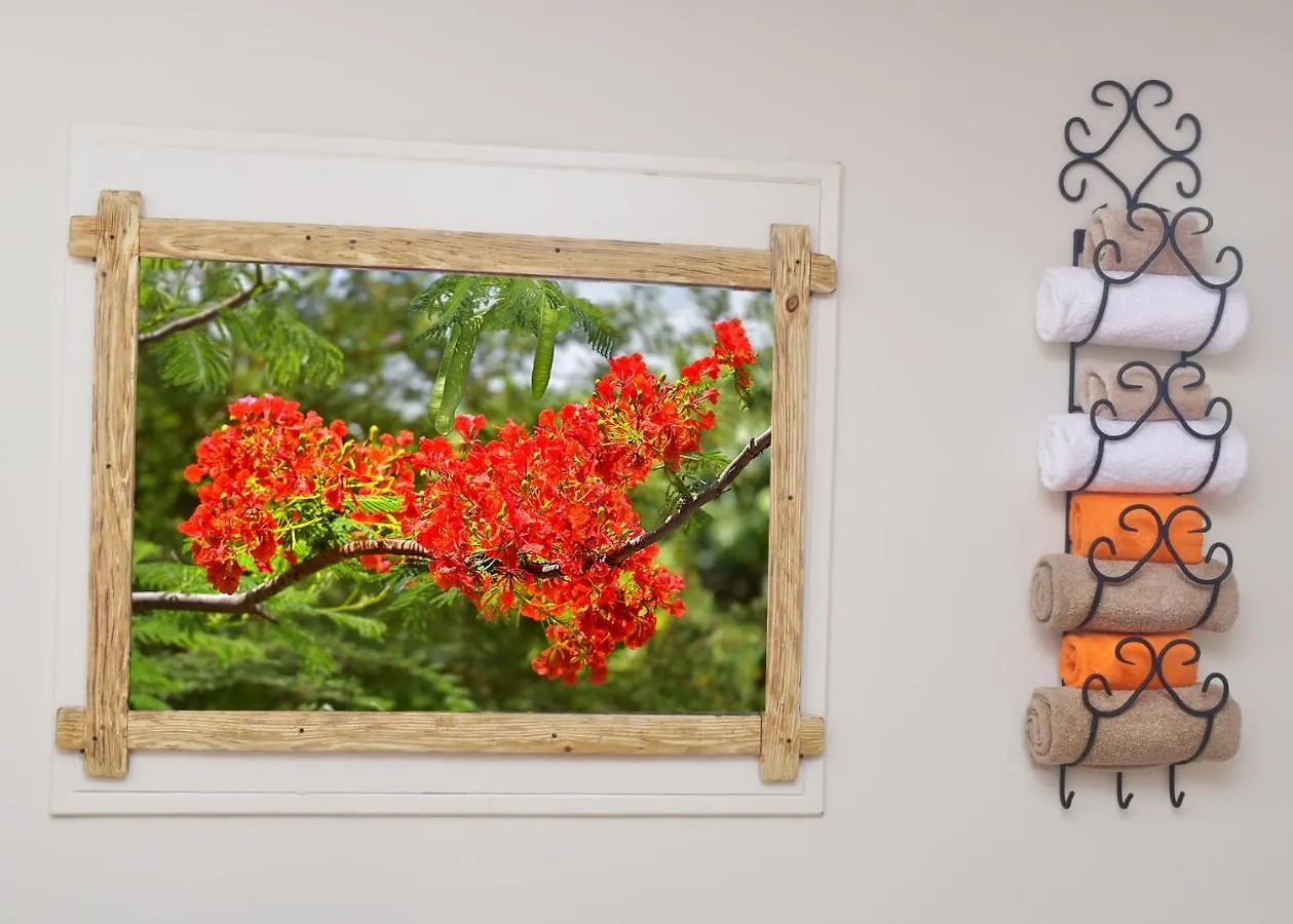 Turquoise B&B Willemstad